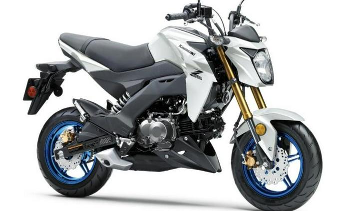 2026 Kawasaki Z125 PRO
