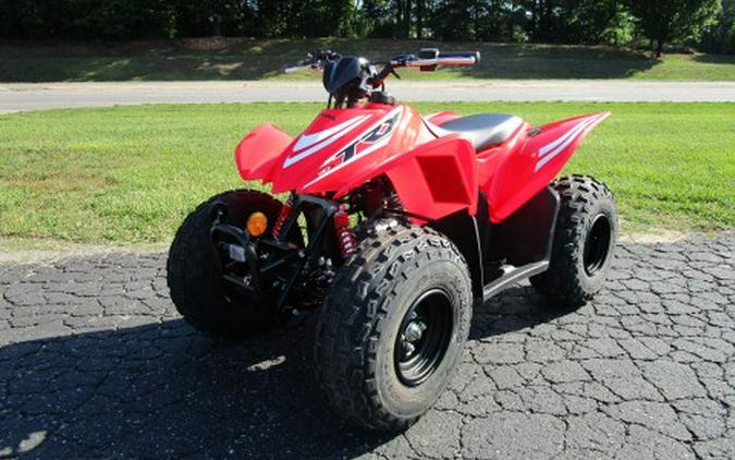 2026 Honda TRX90X