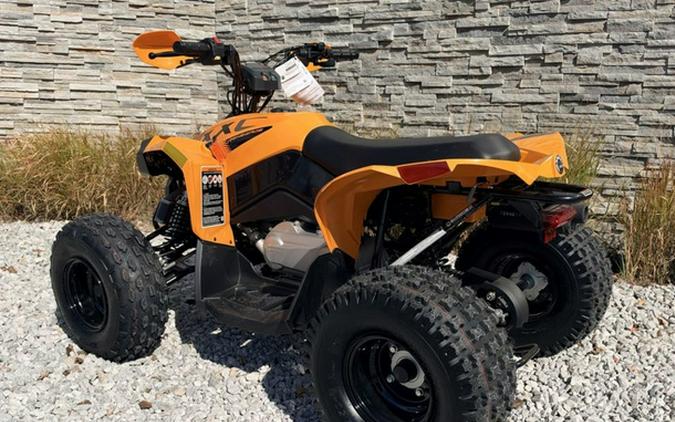 2027 Can-Am Renegade X Xc 110 EFI