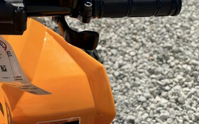 2027 Can-Am Renegade X Xc 110 EFI