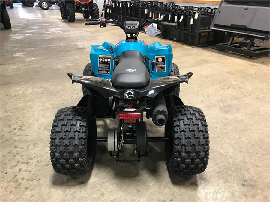 2024 CAN-AM Renegade 110 EFI