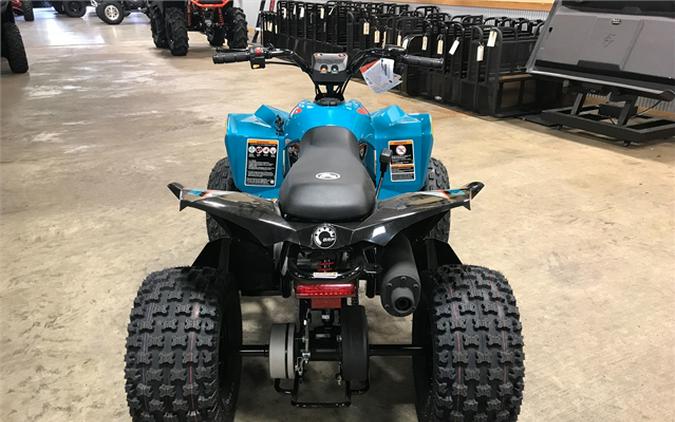 2024 CAN-AM Renegade 110 EFI