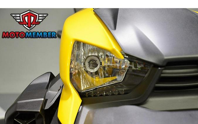 2025 Can-Am Ryker Rally Rotax 900 ACE Exclusive Panel Kits