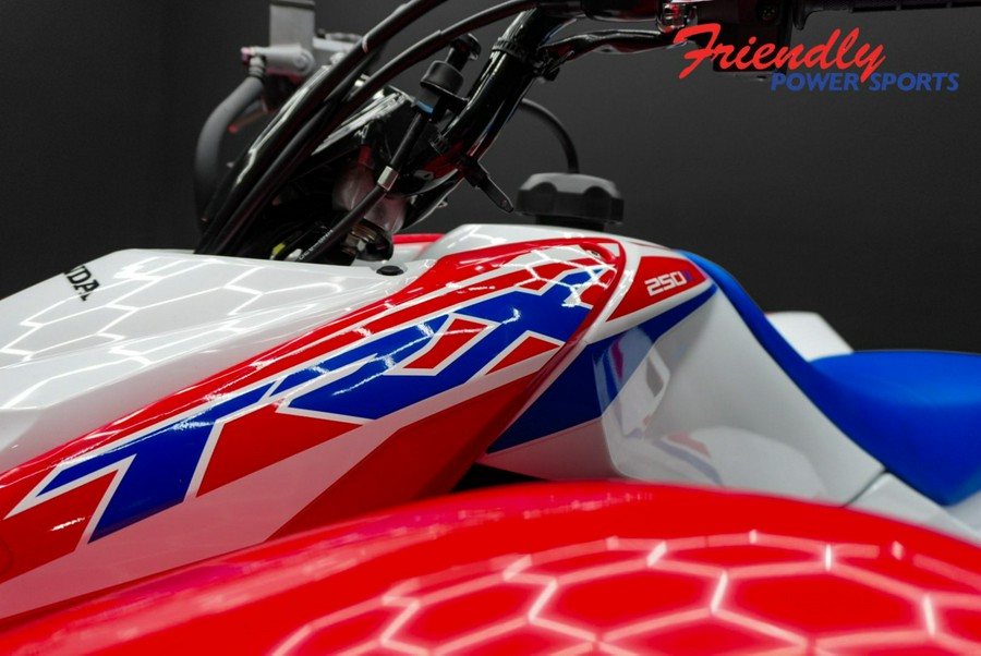 2026 HONDA TRX250X