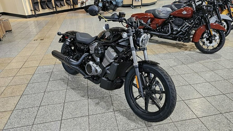 2024 Harley-Davidson Sportster RH975 - Nightster