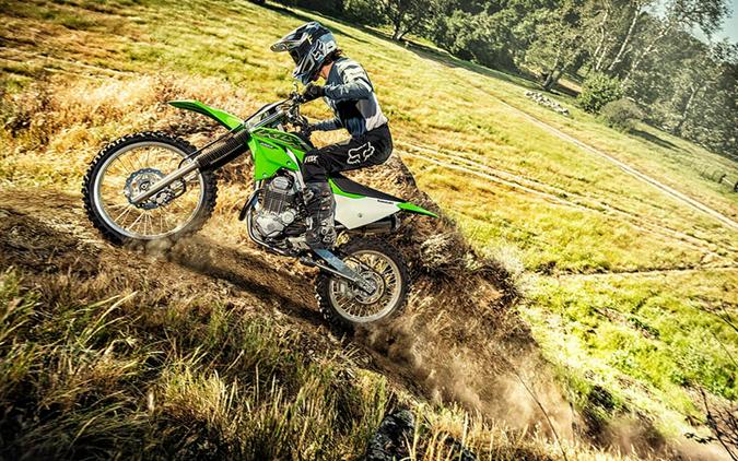 2021 Kawasaki KLX 230R