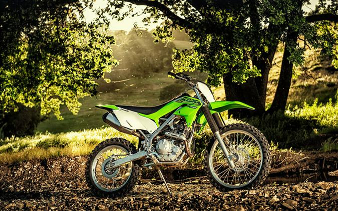 2021 Kawasaki KLX 230R