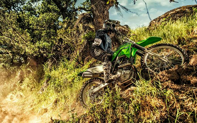 2021 Kawasaki KLX 230R