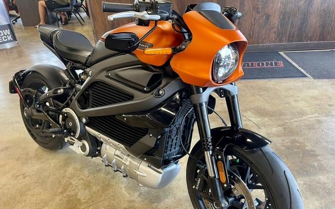 2020 Harley-Davidson LiveWire First Ride