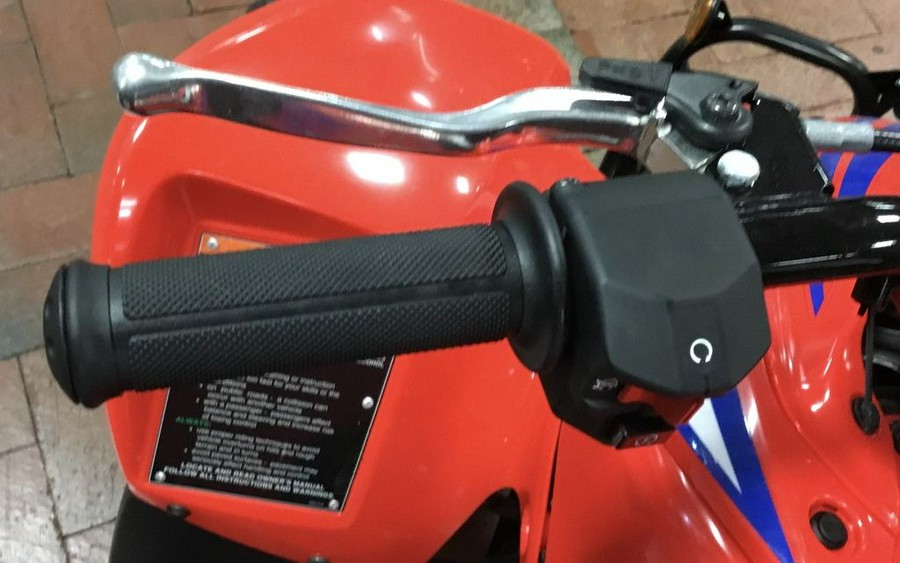 2025 Honda® TRX90X