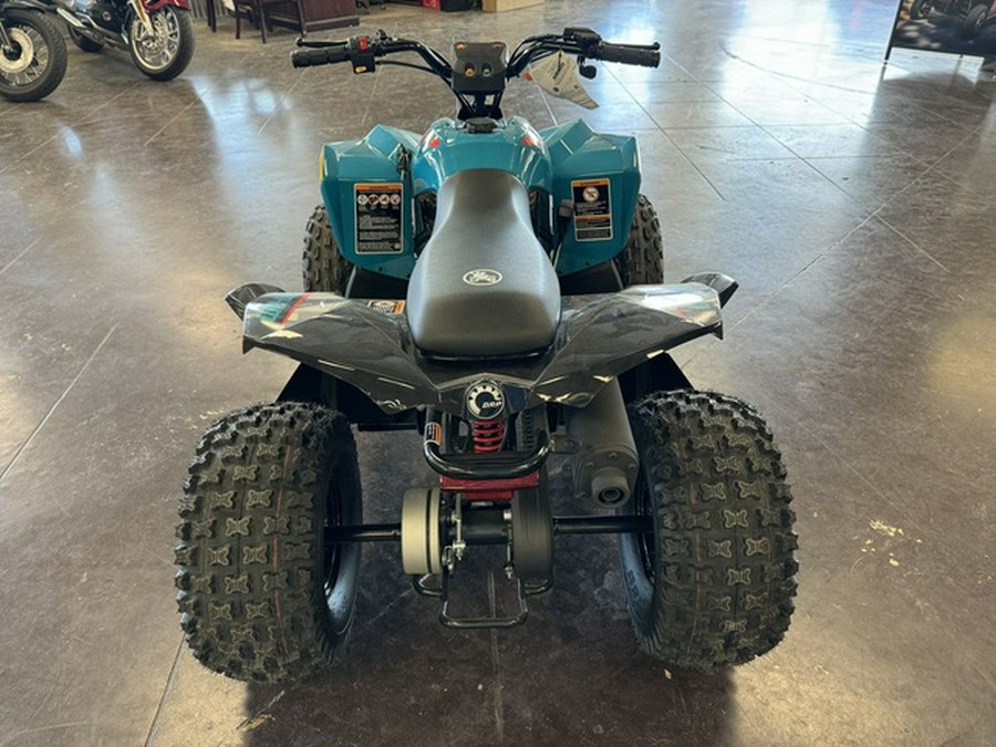 2024 Can-Am Renegade 110 EFI