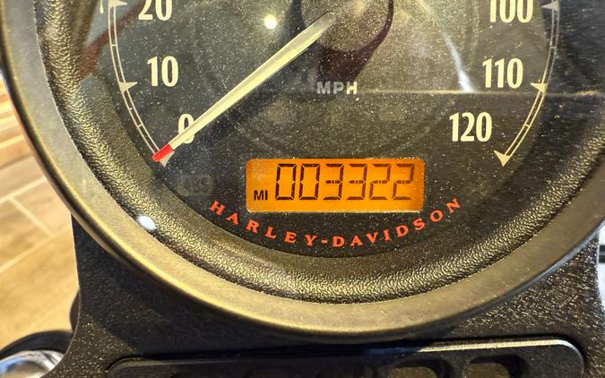 2022 Harley-Davidson Iron 883™