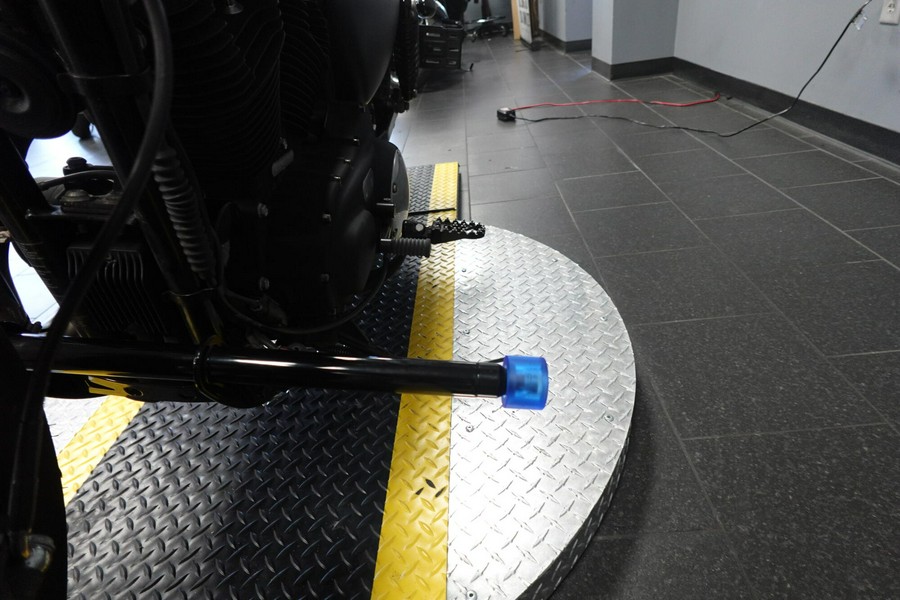 2021 Harley-Davidson Iron 883 XL 883N