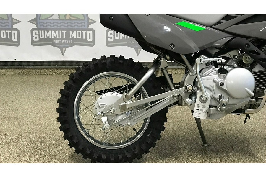 2025 Kawasaki KLX 110R L (KLX110DSFNN)
