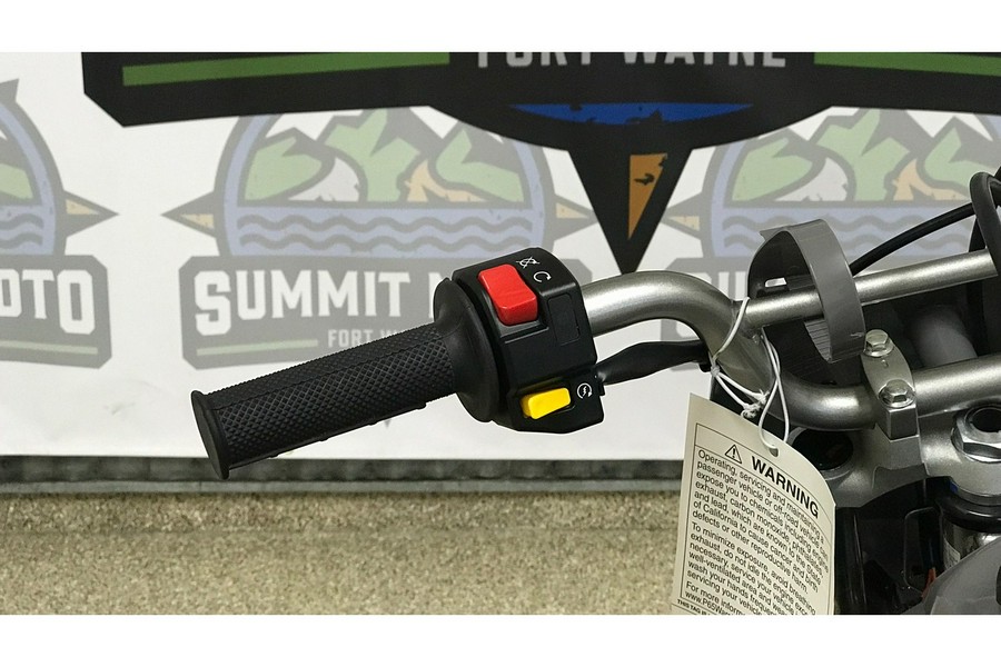 2025 Kawasaki KLX 110R L (KLX110DSFNN)