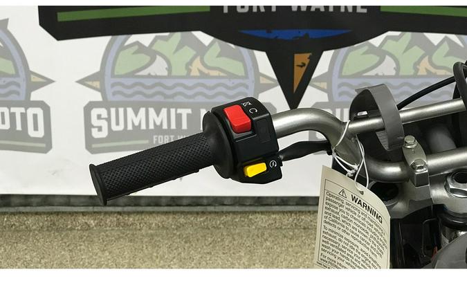 2025 Kawasaki KLX 110R L (KLX110DSFNN)