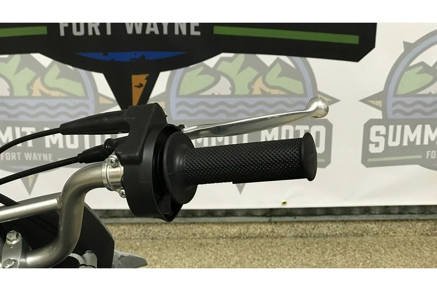 2025 Kawasaki KLX 110R L (KLX110DSFNN)