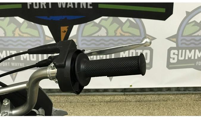 2025 Kawasaki KLX 110R L (KLX110DSFNN)