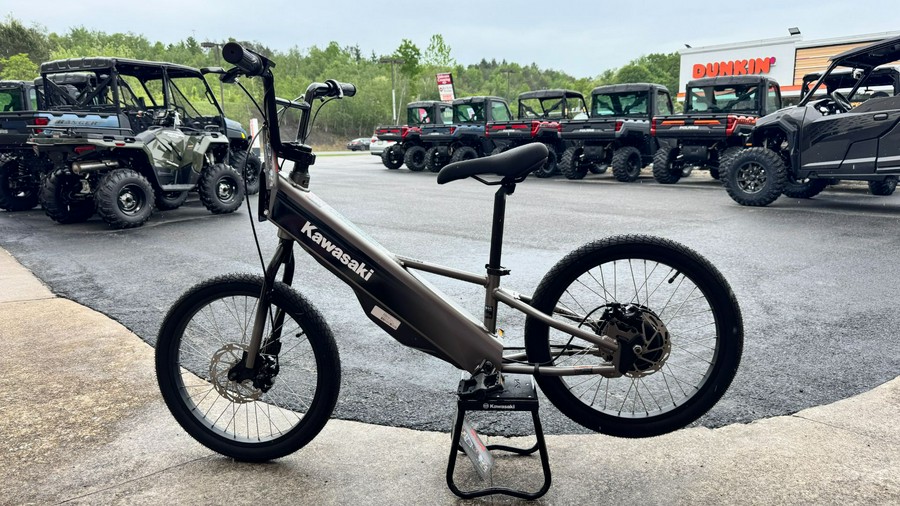 2025 Kawasaki ELEKTRODE 20" FS