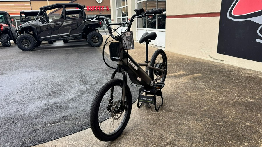2025 Kawasaki ELEKTRODE 20" FS