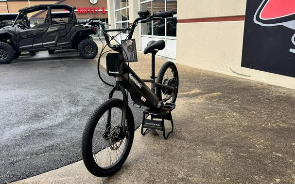 2025 Kawasaki ELEKTRODE 20" FS