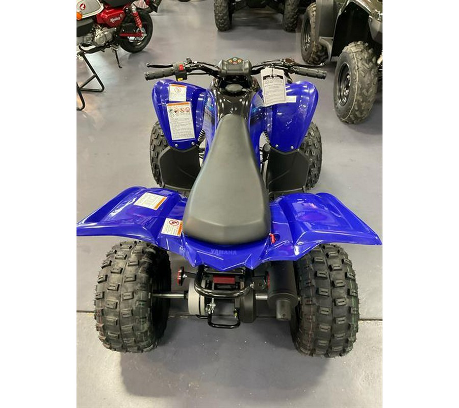 2024 Yamaha Raptor 110