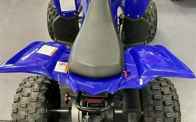 2024 Yamaha Raptor 110