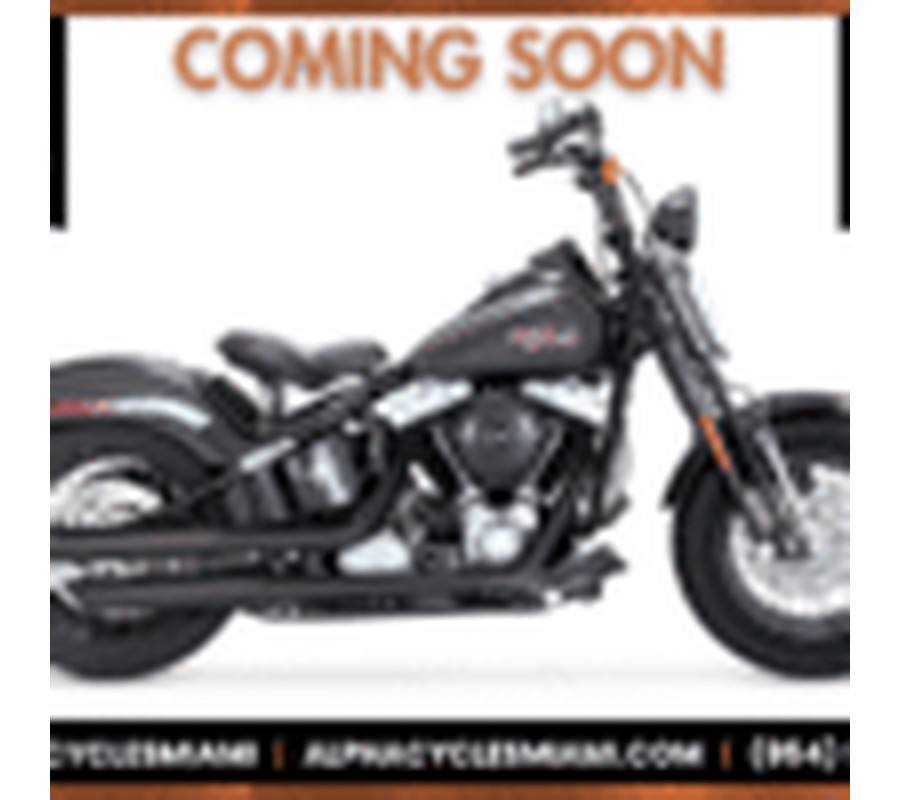 2008 HARLEY-DDAVIDSON SOFTAIL CROSSBONES CUSTOM