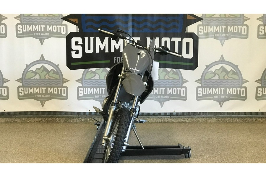 2025 Kawasaki KLX 110 R L (KLX110DSFNN)