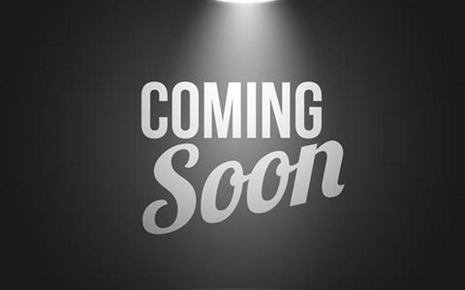 2023 Harley-Davidson Road Glide Limited