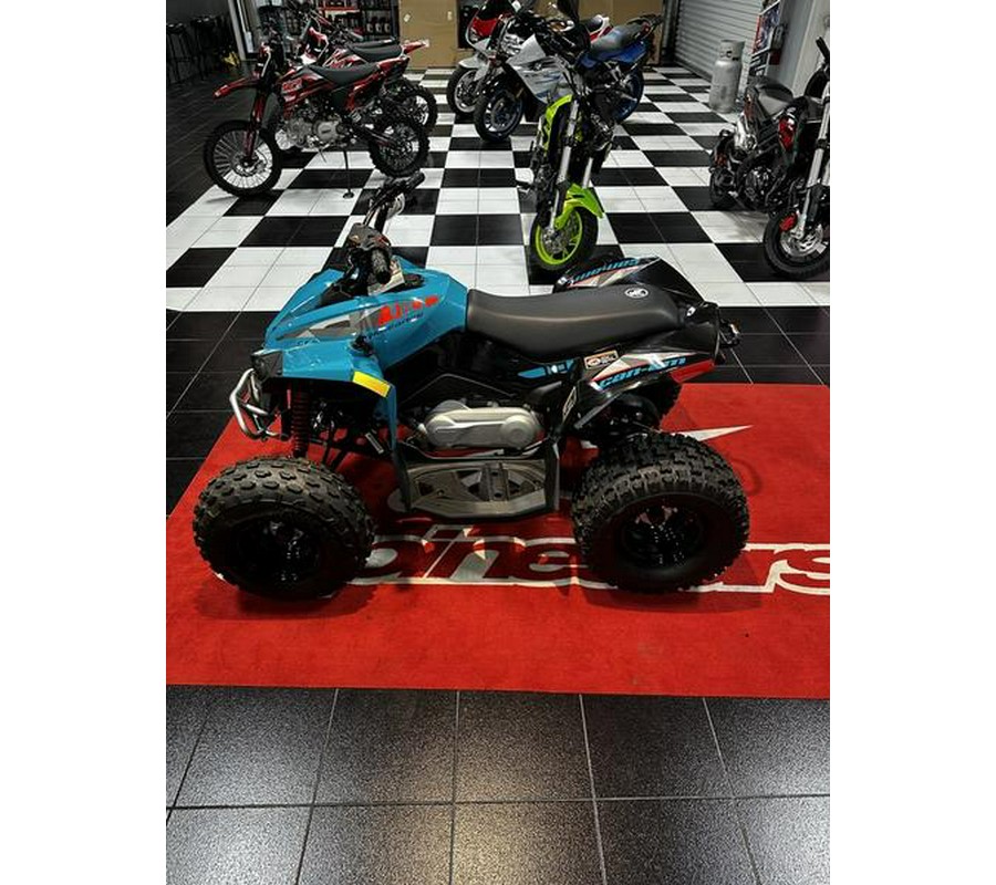 2024 Can-Am® Renegade 110 EFI