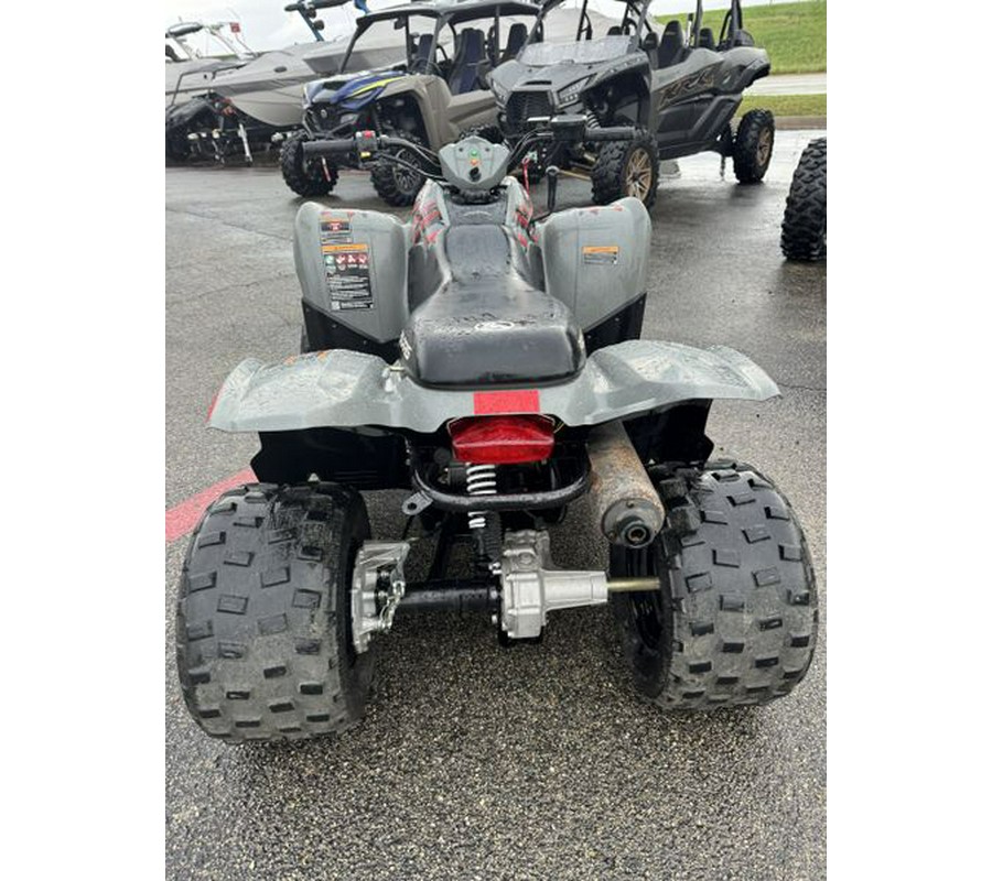 Used 2019 POLARIS PHOENIX 200 AVALANCHE GRAY