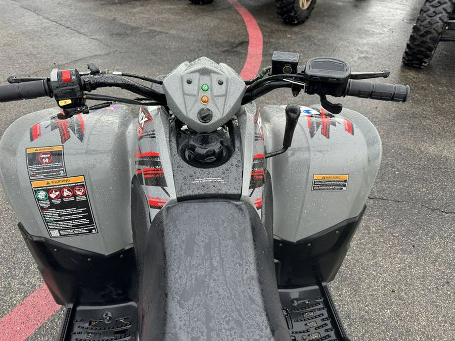 Used 2019 POLARIS PHOENIX 200 AVALANCHE GRAY