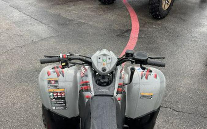 Used 2019 POLARIS PHOENIX 200 AVALANCHE GRAY