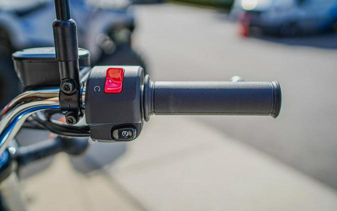 2025 Kawasaki W230 ABS