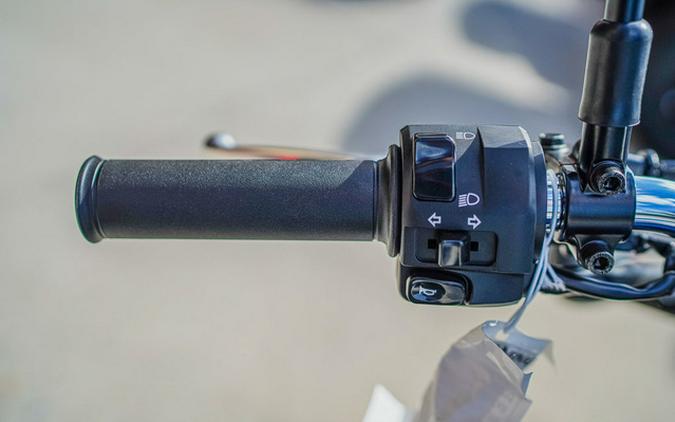 2025 Kawasaki W 230 ABS