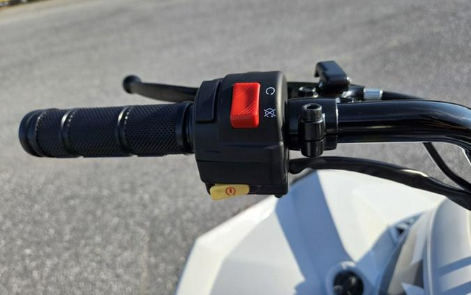 2026 Can-Am Renegade 110 EFI