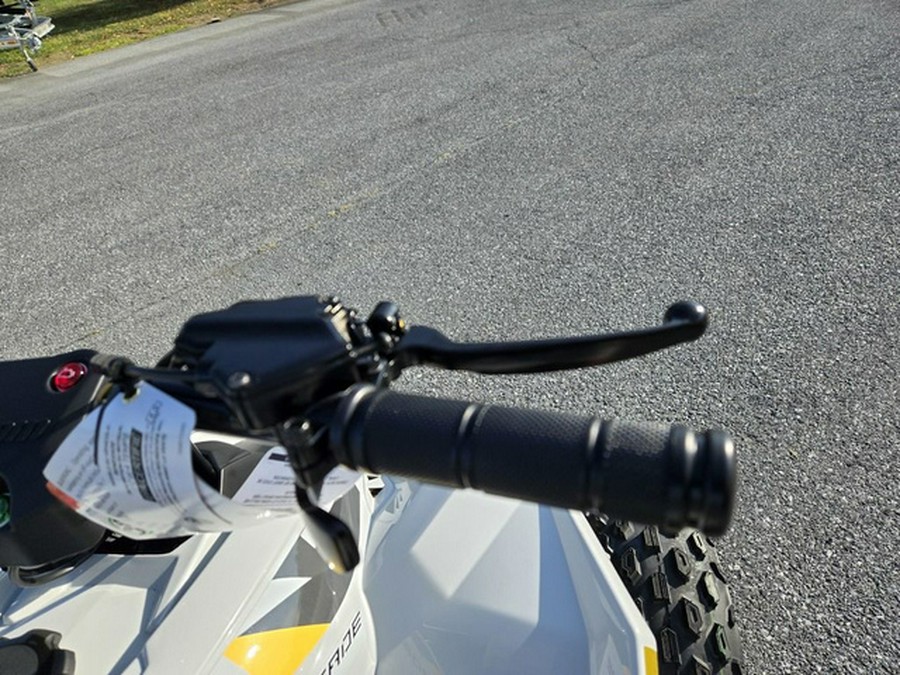 2026 Can-Am Renegade 110 EFI