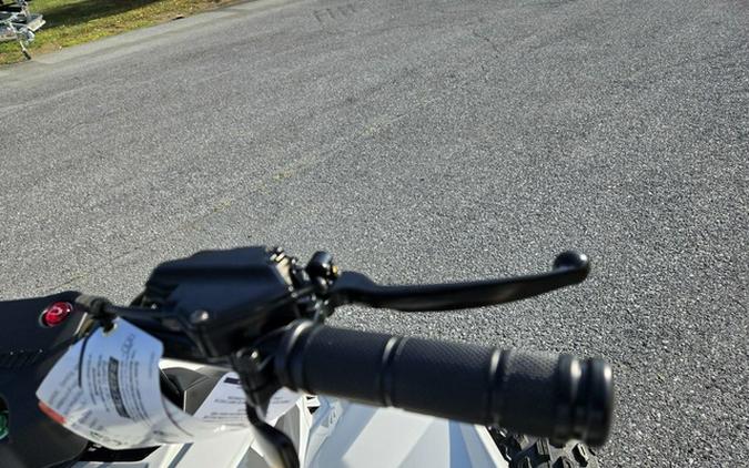 2026 Can-Am Renegade 110 EFI