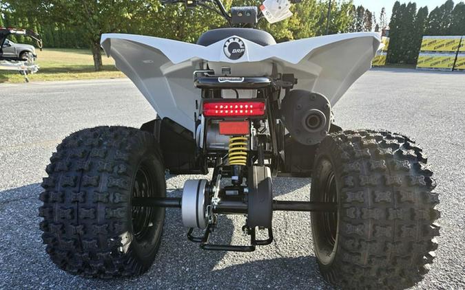 2026 Can-Am Renegade 110 EFI