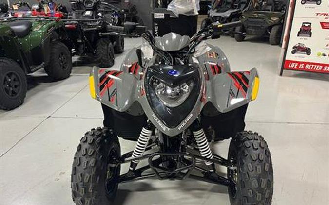 2024 Polaris Phoenix 200