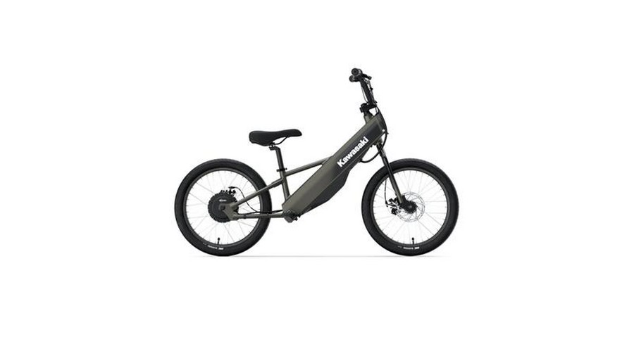 2024 Kawasaki Elektrode 20 FS