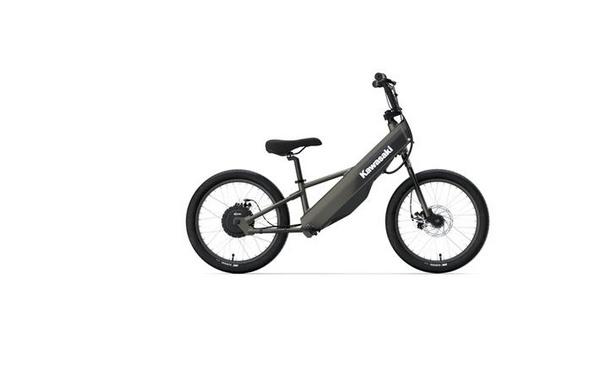 2024 Kawasaki Elektrode 20 FS