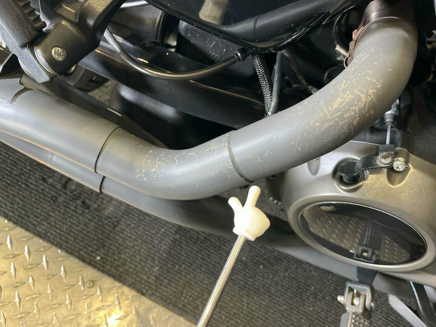 2023 Harley-Davidson Nightster® Special