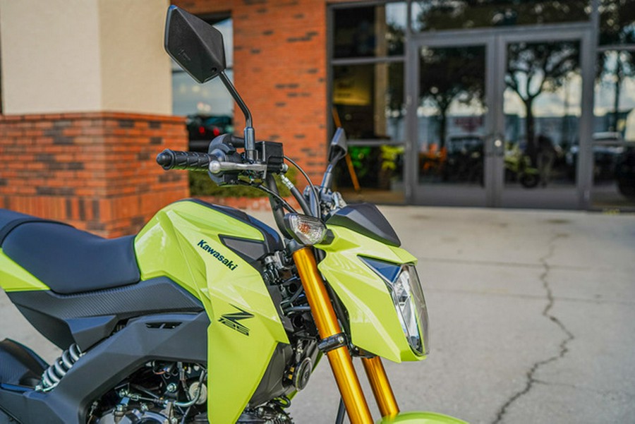2026 Kawasaki Z125 PRO