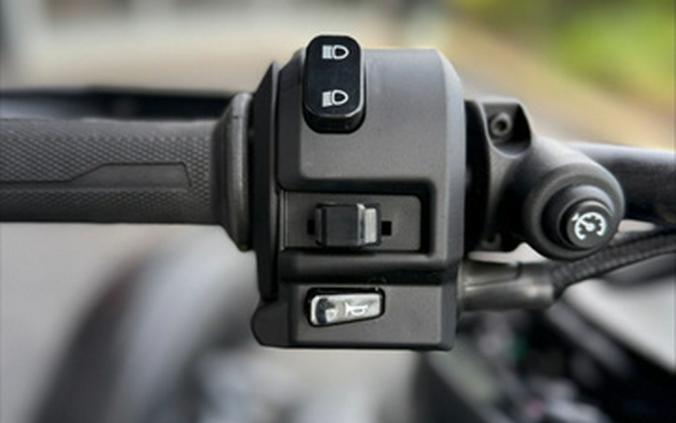 2025 Can-Am Ryker Rally