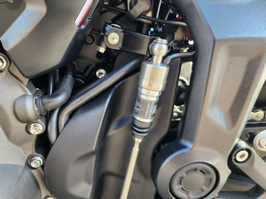 2026 Triumph Trident 800
