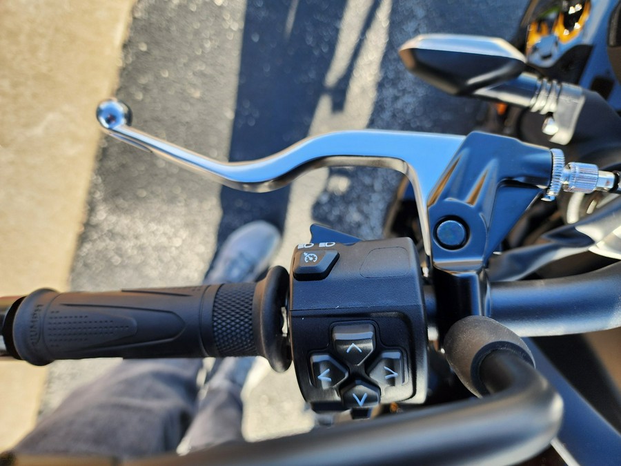 2026 Triumph Trident 800