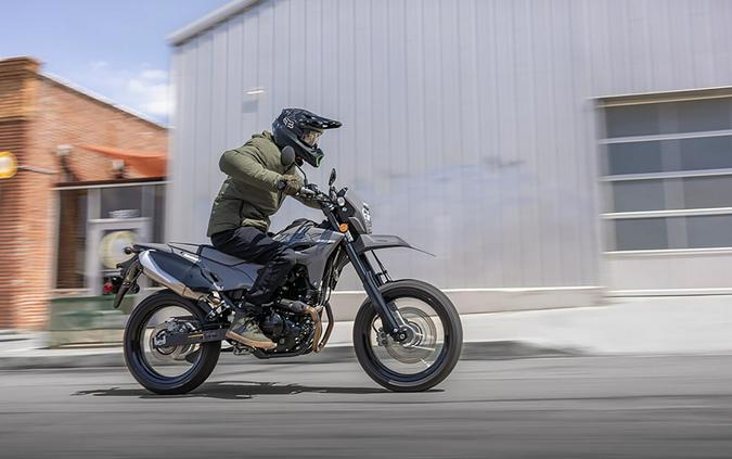 2025 Kawasaki KLX® 230 SM ABS
