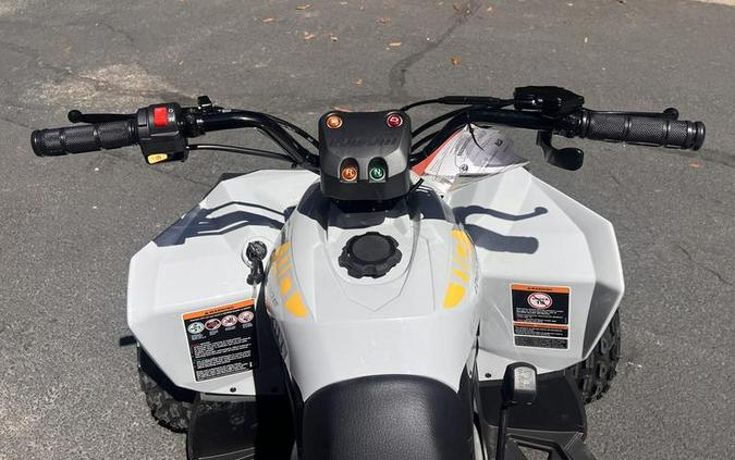 2026 Can-Am® Renegade 110 EFI